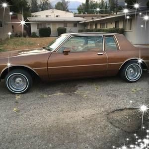 Meet your Posher, Rafael